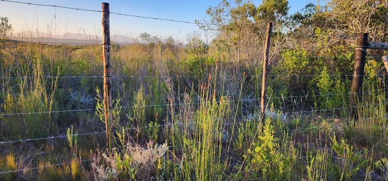 0 Bedroom Property for Sale in Albertinia Western Cape